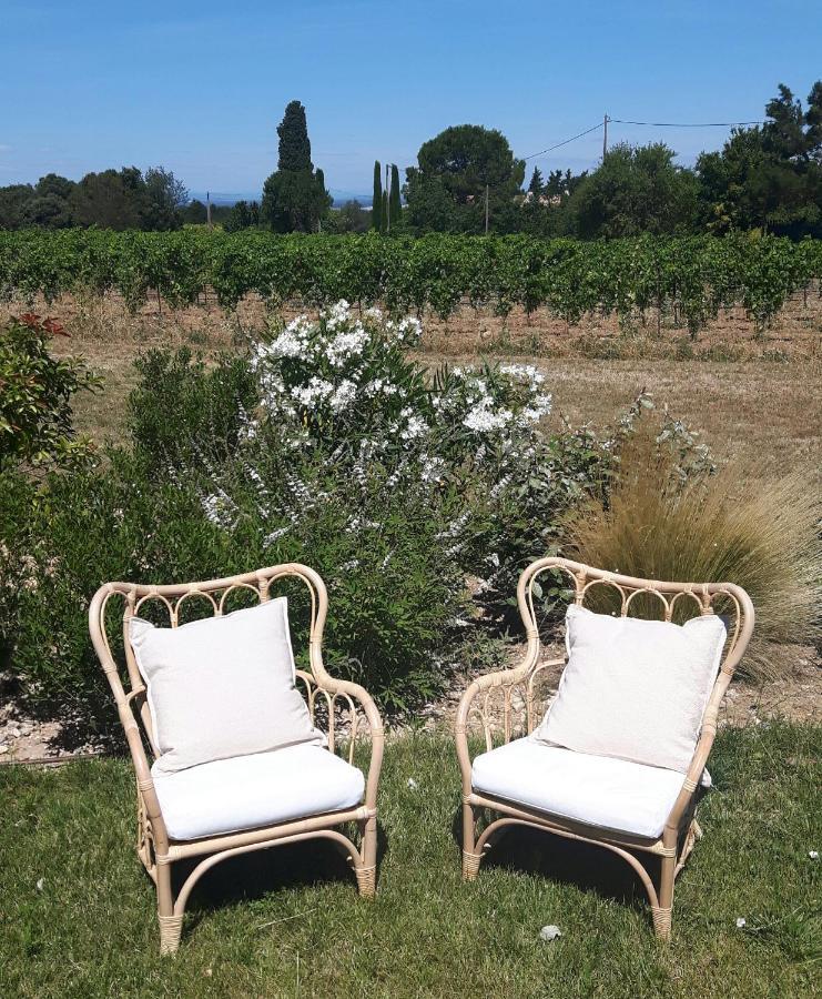 Le Cottage Du Chat Blanc Saint Didier  Dış mekan fotoğraf