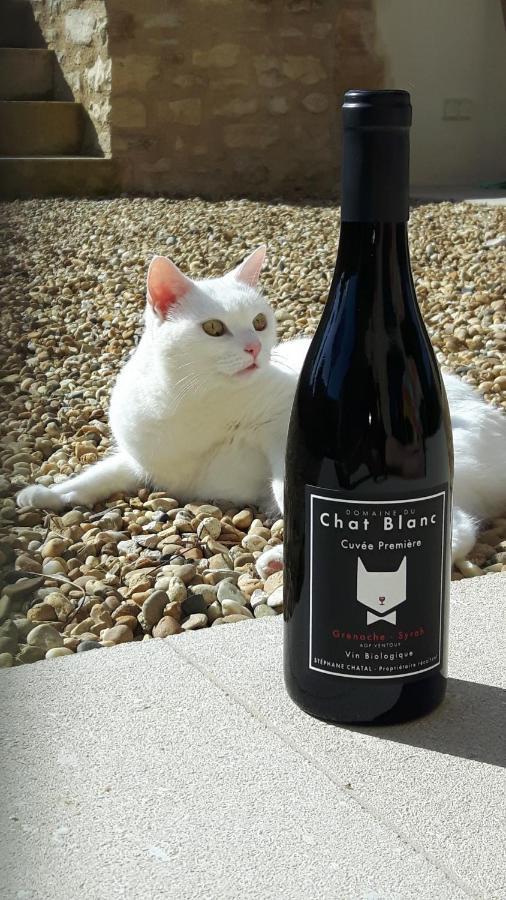 Le Cottage Du Chat Blanc Saint Didier  Dış mekan fotoğraf